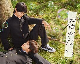 网站优化推广简历如何写